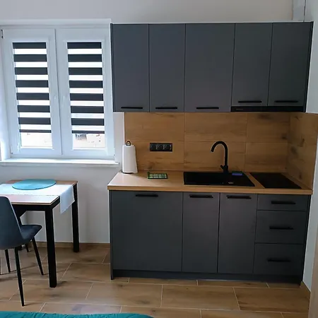 Debowy Zakatek Apartment Rymanow-Zdroj Exterior photo