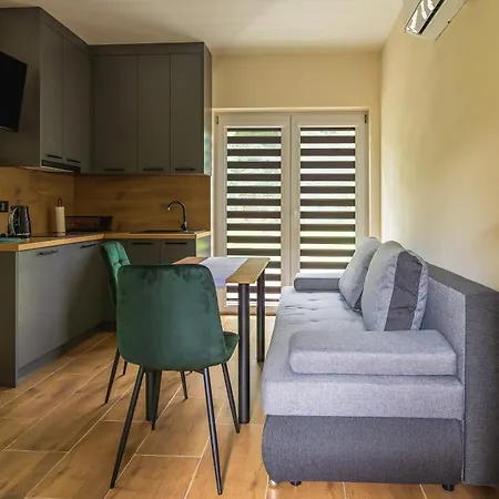 Debowy Zakatek Apartment Rymanow-Zdroj Exterior photo